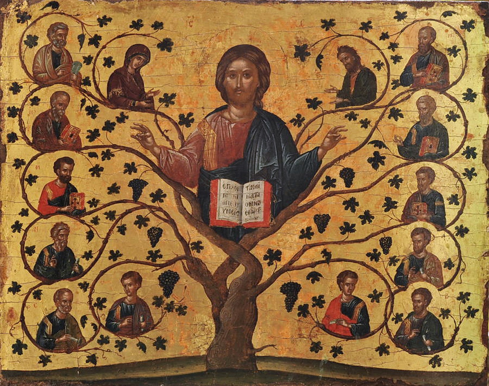 JESUS IN SCRIPTURE I AM THE VINE YOU ARE THE BRANCHES